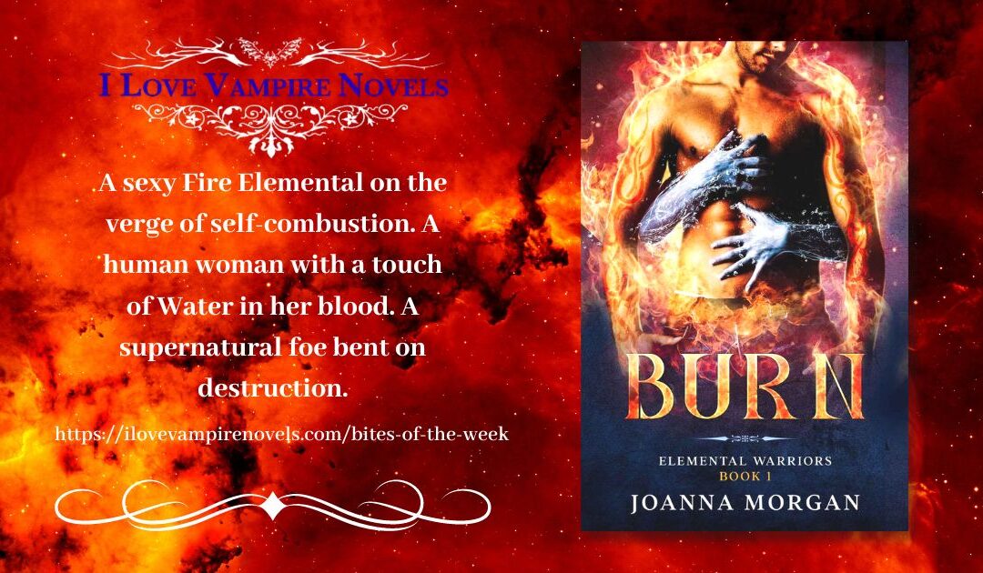 A little nibble from the fantasy romance novel, Burn – by Joanna Morgan