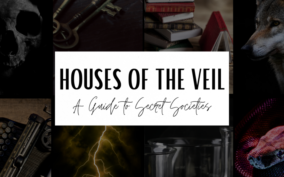 About the Houses of the Veil in Ninth House by Leigh Bardugo